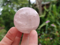 Polished Gemmy Star Rose Quartz Spheres x 6 From Madagascar