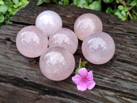 Polished Gemmy Star Rose Quartz Spheres x 6 From Madagascar