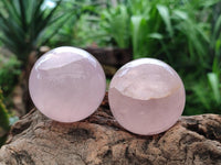 Polished Gemmy Star Rose Quartz Spheres x 6 From Madagascar