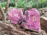 Natural Salrose Cobaltion Dolomite Specimens x 6 From Kakanda, Congo