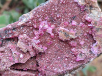 Natural Salrose Cobaltion Dolomite Specimens x 6 From Kakanda, Congo