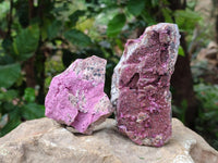 Natural Salrose Cobaltion Dolomite Specimens x 6 From Kakanda, Congo