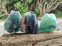Natural Watermelon Fluorite Cobbed Specimens x 12 From Uis, Namibia
