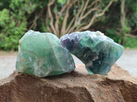 Natural Watermelon Fluorite Cobbed Specimens x 12 From Uis, Namibia
