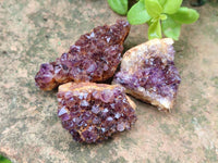 Natural Amethystos Amethyst Clusters x 35 From Kwaggafontein, South Africa