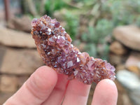 Natural Amethystos Amethyst Clusters x 35 From Kwaggafontein, South Africa
