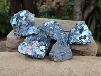 Natural Bright Silver Lead Galena Cobbed Specimens x 12 From Kaokoveld, Namibia