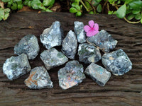 Natural Bright Silver Lead Galena Cobbed Specimens x 12 From Kaokoveld, Namibia