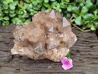 Natural Cascading Smokey Citrine Quartz Clusters x 1 From Luena, Congo