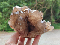 Natural Cascading Smokey Citrine Quartz Clusters x 1 From Luena, Congo