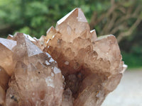 Natural Cascading Smokey Citrine Quartz Clusters x 1 From Luena, Congo