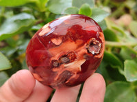 Polished Small Carnelian Agate Gemstone Galets x 23 From Madagascar