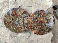 Polished Ammonite Coffee Table Coasters x 4 From Mahajanga, Madagascar