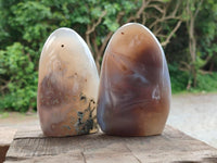 Polished Banded Agate Standing Free Forms x 3 From Madagascar