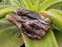 Natural Mix Of Multi Mineral Specimens x 6 From Southern Africa