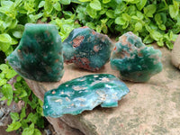 Polished On One Side Mtorolite Plates x 4 From Mutorashanga, Zimbabwe