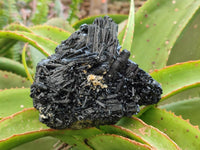 Natural Schorl Black Tourmaline One with Vermiculite x 2 From Erongo, Namibia