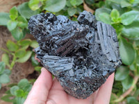 Natural Schorl Black Tourmaline One with Vermiculite x 2 From Erongo, Namibia