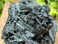 Natural Schorl Black Tourmaline One with Vermiculite x 2 From Erongo, Namibia