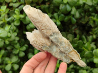 Natural Drusy Quartz Coated Spearhead Calcite Specimens x 4 From Albert's Mountain, Lesotho