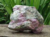 Natural Stichtite Cobbed Specimens x 2 From Barberton, South Africa