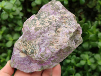 Natural Stichtite Cobbed Specimens x 2 From Barberton, South Africa