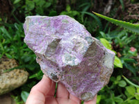 Natural Stichtite Cobbed Specimens x 2 From Barberton, South Africa