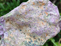 Natural Stichtite Cobbed Specimens x 2 From Barberton, South Africa