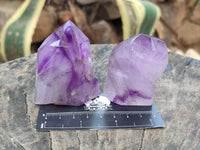 Polished Window Amethyst Crystals x 6 From Akansobe, Madagascar