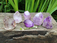 Polished Window Amethyst Crystals x 6 From Akansobe, Madagascar