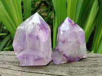 Polished Window Amethyst Crystals x 6 From Akansobe, Madagascar