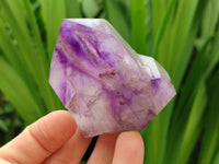 Polished Window Amethyst Crystals x 6 From Akansobe, Madagascar