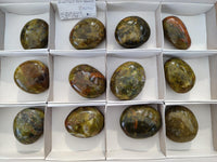 Polished Large Green Opal Palm Stones x 12 From Betroka, Madagascar