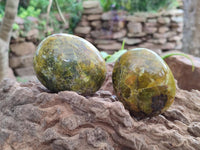 Polished Large Green Opal Palm Stones x 12 From Betroka, Madagascar