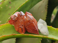 Natural Mix Of Multi Mineral Specimens x 28 From Southern Africa