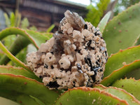 Natural Mix Of Multi Mineral Specimens x 28 From Southern Africa