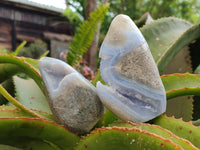 Polished Blue Lace Agate Standing Free Forms x 6 From Nsanje, Malawi