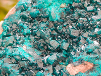 Natural Dioptase On Dolomite Specimen x 1 From Likasi, Congo