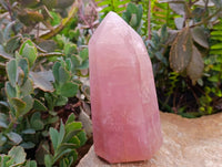 Polished Rose Quartz Crystals x 2 From Madagascar