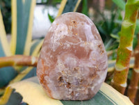 Polished Flower Agate Standing Free Forms x 6 From Antsahalova, Madagascar