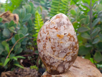 Polished Flower Agate Standing Free Forms x 6 From Antsahalova, Madagascar