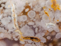 Polished Flower Agate Standing Free Forms x 6 From Antsahalova, Madagascar