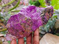 Natural Stichtite Cobbed Specimens x 6 From Barberton, South Africa