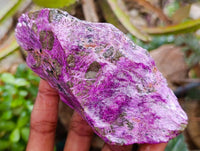 Natural Stichtite Cobbed Specimens x 6 From Barberton, South Africa