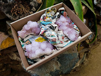 Natural Sunburst Amethyst Spirit Clusters x 3 From Boekenhouthoek, South Africa