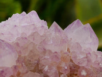 Natural Sunburst Amethyst Spirit Clusters x 3 From Boekenhouthoek, South Africa