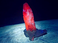 Natural Drusy Quartz Coated Spearhead Calcite Specimens x 20 From Albert's Mountain, Lesotho