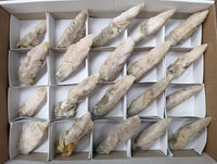 Natural Drusy Quartz Coated Spearhead Calcite Specimens x 20 From Albert's Mountain, Lesotho