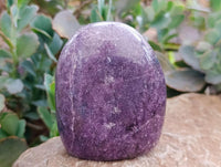 Polished Lepidolite Standing Free Forms x 6 From Madagascar