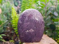 Polished Lepidolite Standing Free Forms x 6 From Madagascar
